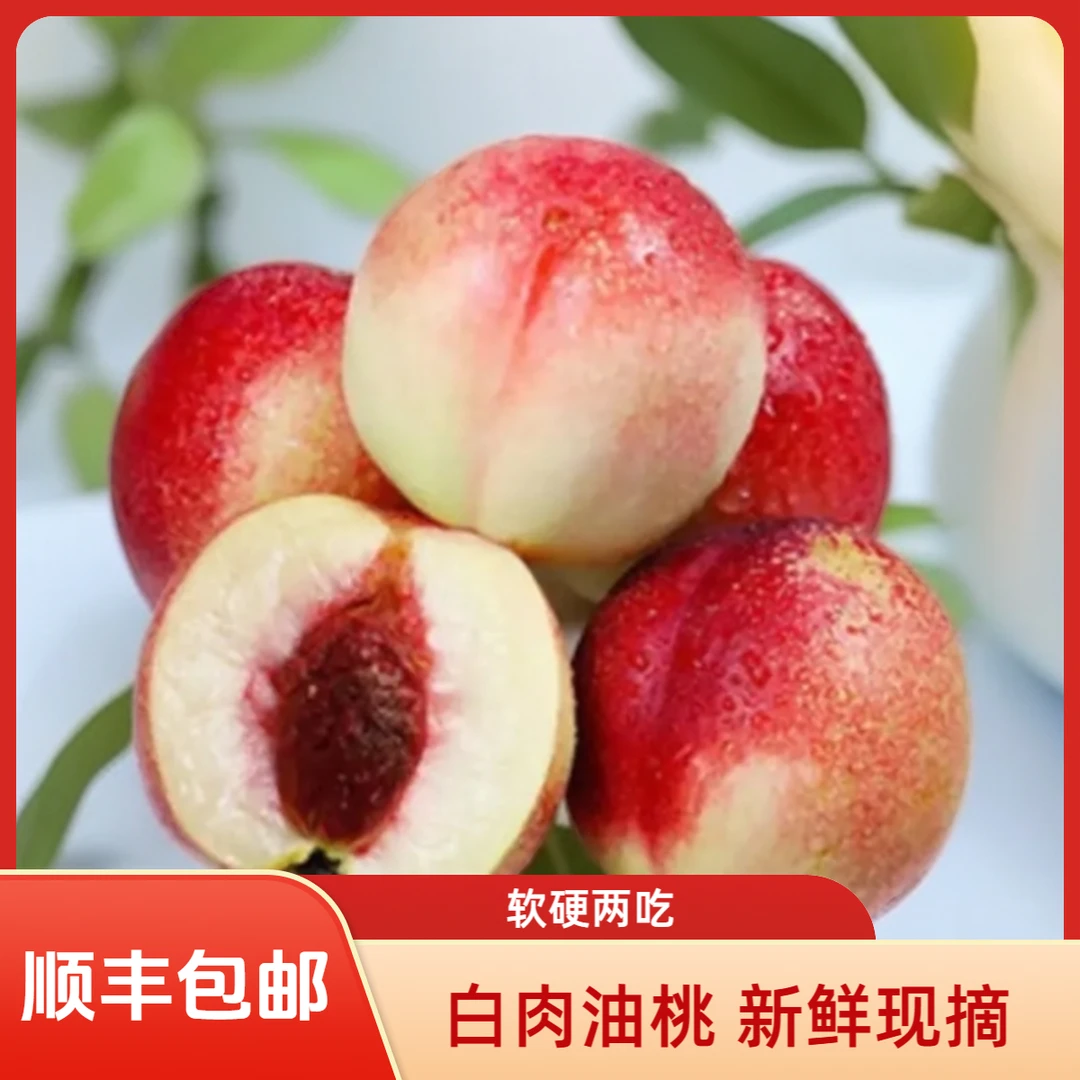 (顺丰包邮）红珊瑚油桃软硬两吃现摘现发白肉不离核净重4.5斤以上