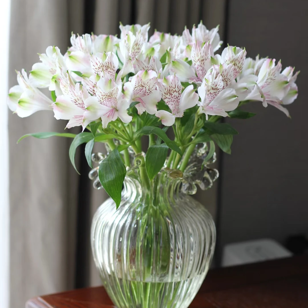 M【白色水仙百合10支50厘米六出花