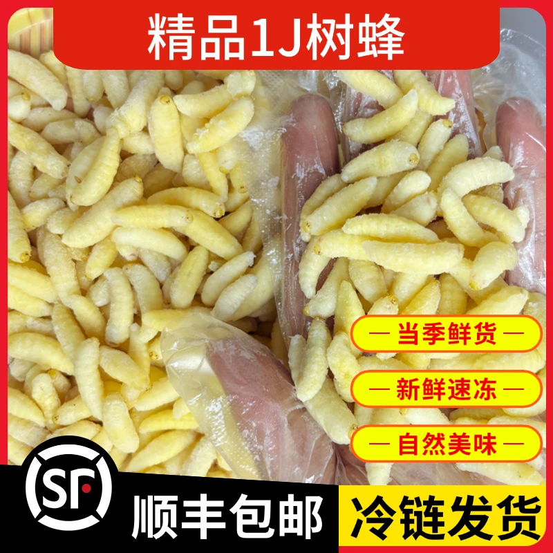 树蜂1蜂蛹新货马蜂蛹新鲜冷冻葫芦蜂蜂蛹胡蜂蛹