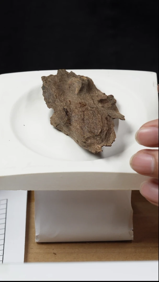 木11-泰国熏香壳子料，5.35g