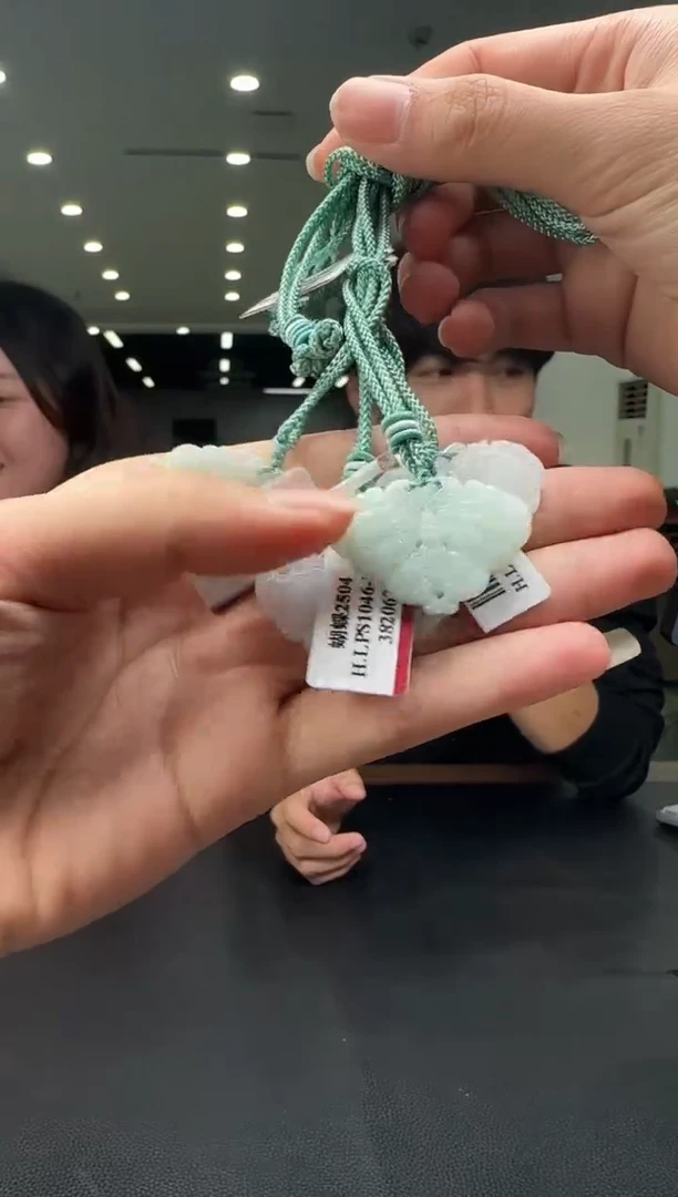 翡翠未镶嵌颈饰DSD0712003多样性发一