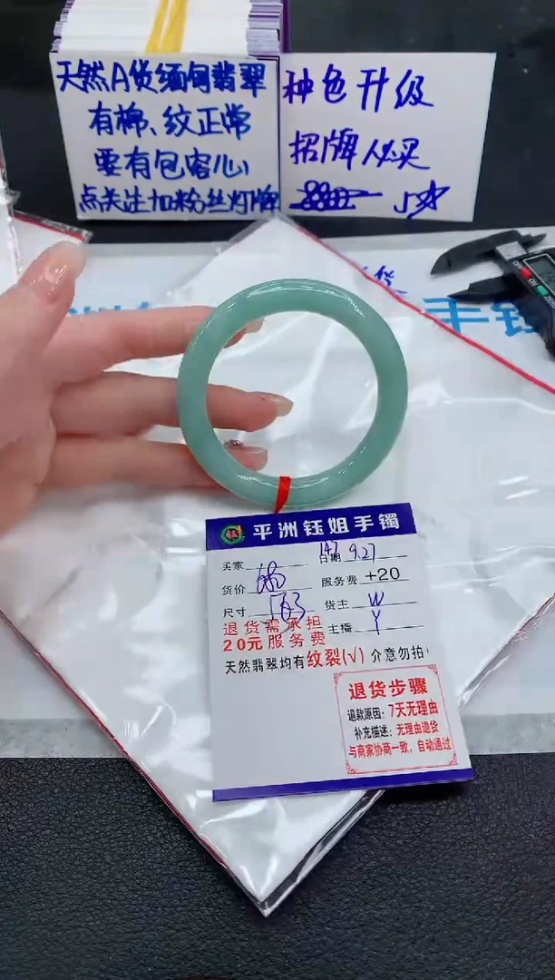 未镶嵌手镯翡翠1111