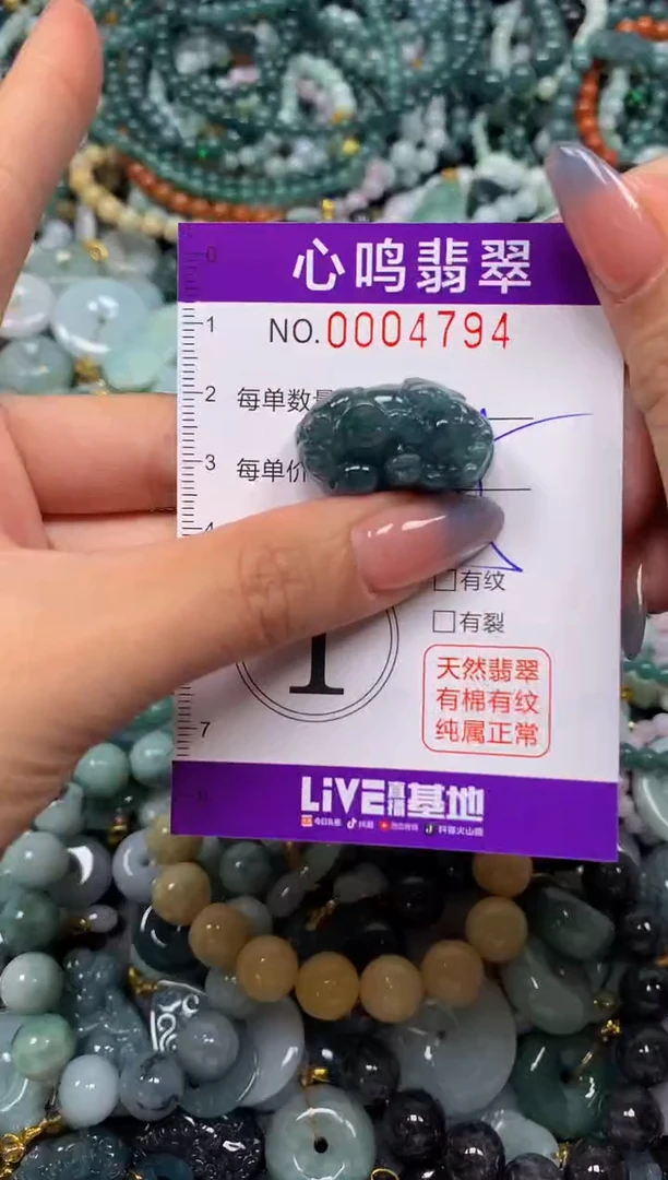 颈饰未镶嵌翡翠闪购004794