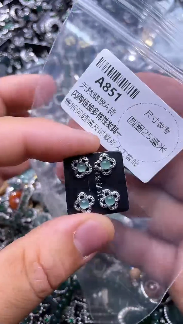 【闪购商品】翡翠颈饰未镶嵌A851耳钉 多样性发其一