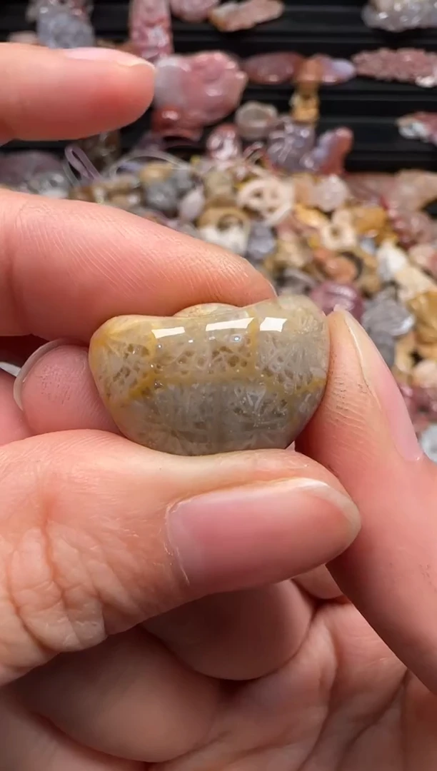 【闪购商品】硅化珊瑚（珊瑚玉）颈饰未镶嵌548