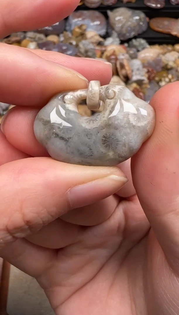 硅化珊瑚（珊瑚玉）未镶嵌颈饰685
