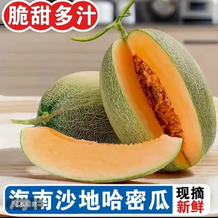 正宗海南沙地哈密瓜当季新鲜水果脆甜多汁产地直【秋雨】