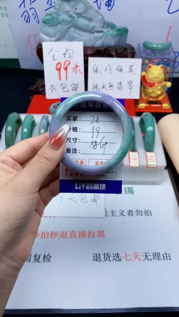 未镶嵌手镯翡翠28