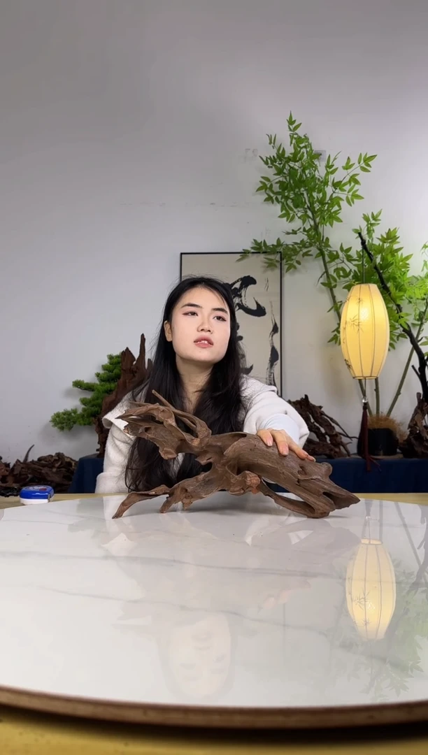石*界拍沉木定向链接编号41