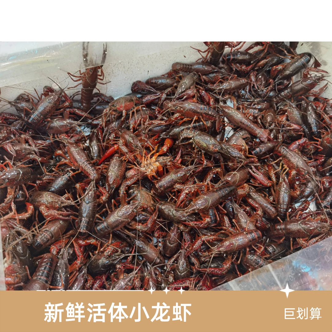 小龙虾2.5kg小龙虾制品小龙虾制品小龙虾制品