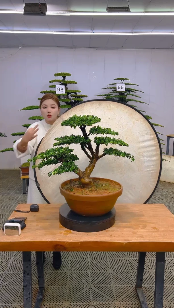 无花朵一物一拍一物一拍