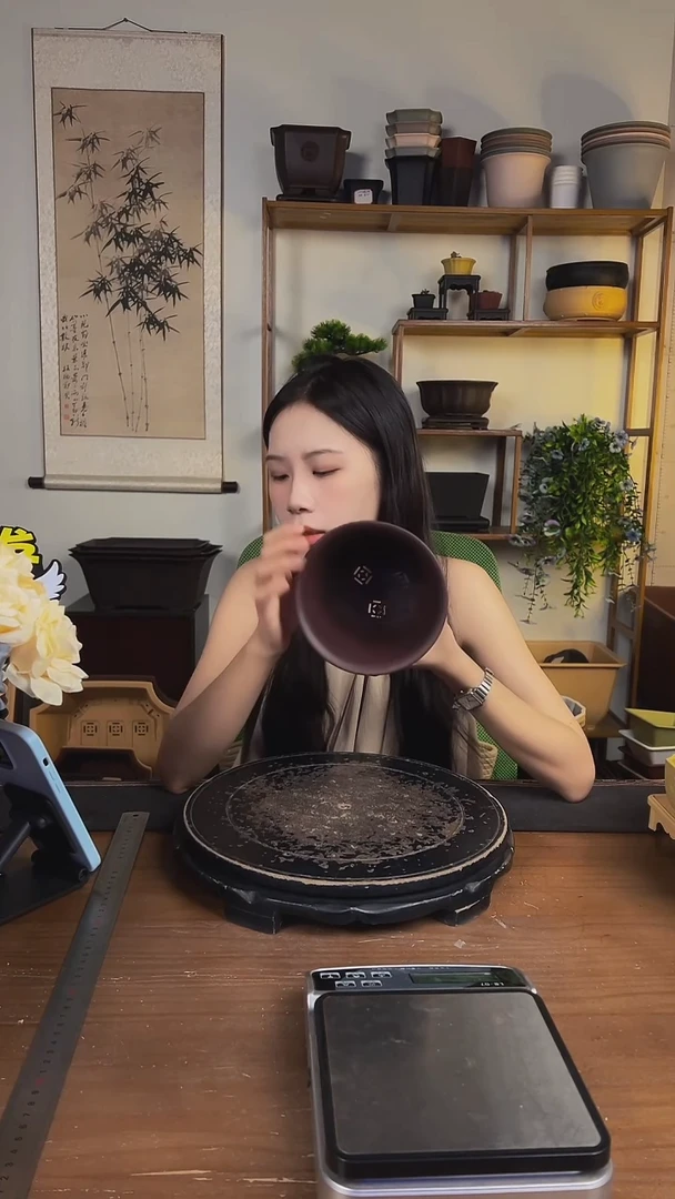 10只15口径金钟紫檀色