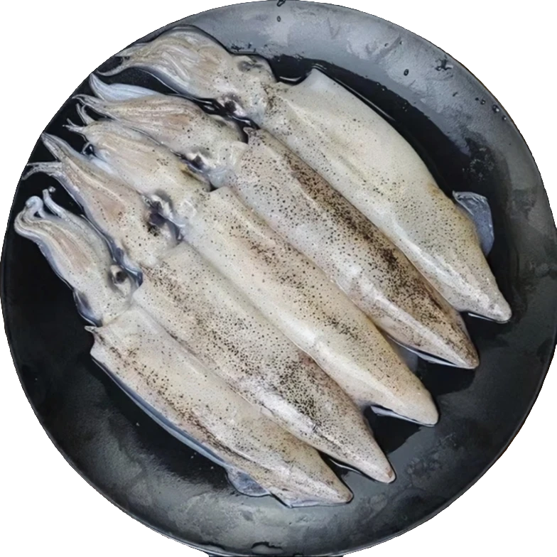 公母混【净重4斤】青岛新鲜海兔子笔管鱼鲜嫩美味营养丰富