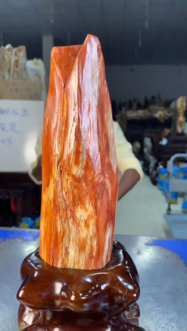 未镶嵌摆件硅化玉44