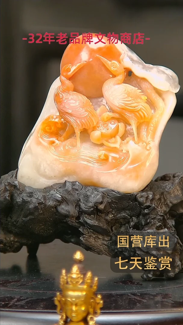 金楚韵汉风精品