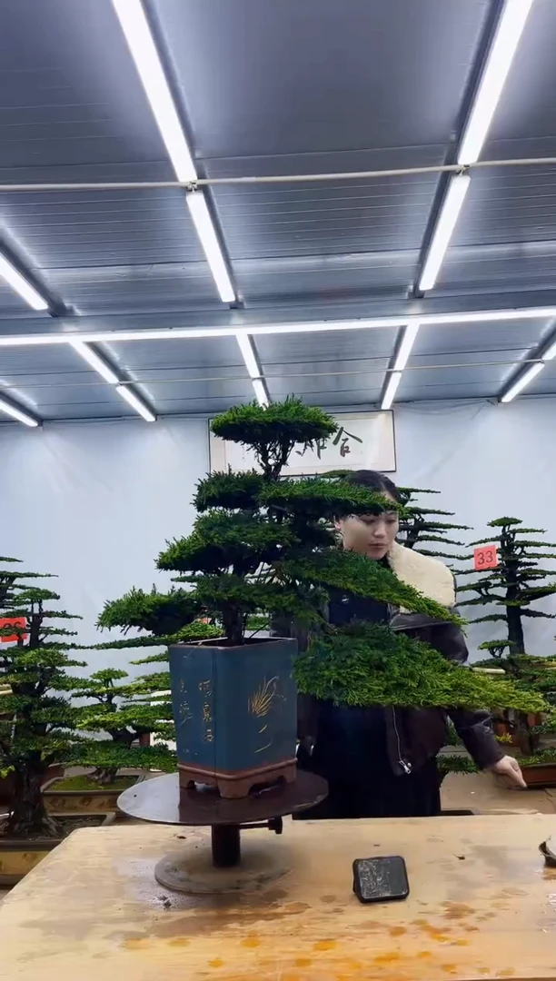 无花朵一物一拍，所见即所得