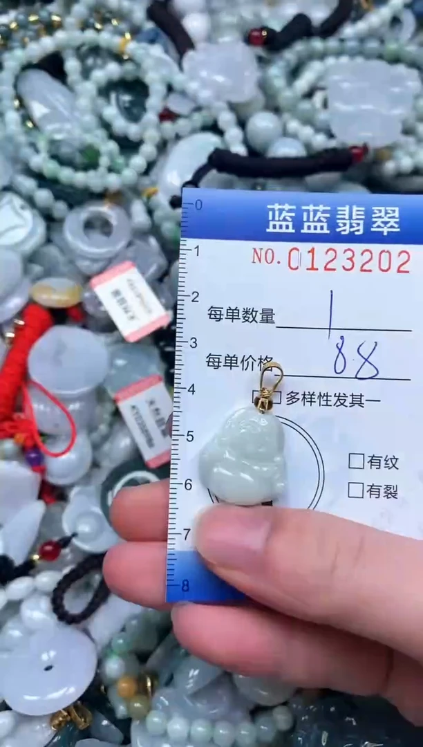 【闪购商品】翡翠颈饰未镶嵌闪购0123202多样性发其一