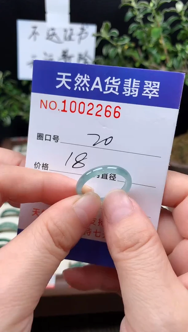 未镶嵌戒指翡翠20#