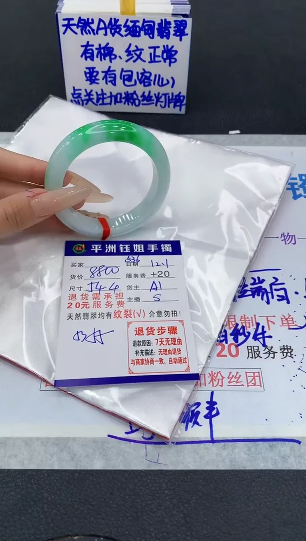 未镶嵌手镯翡翠1