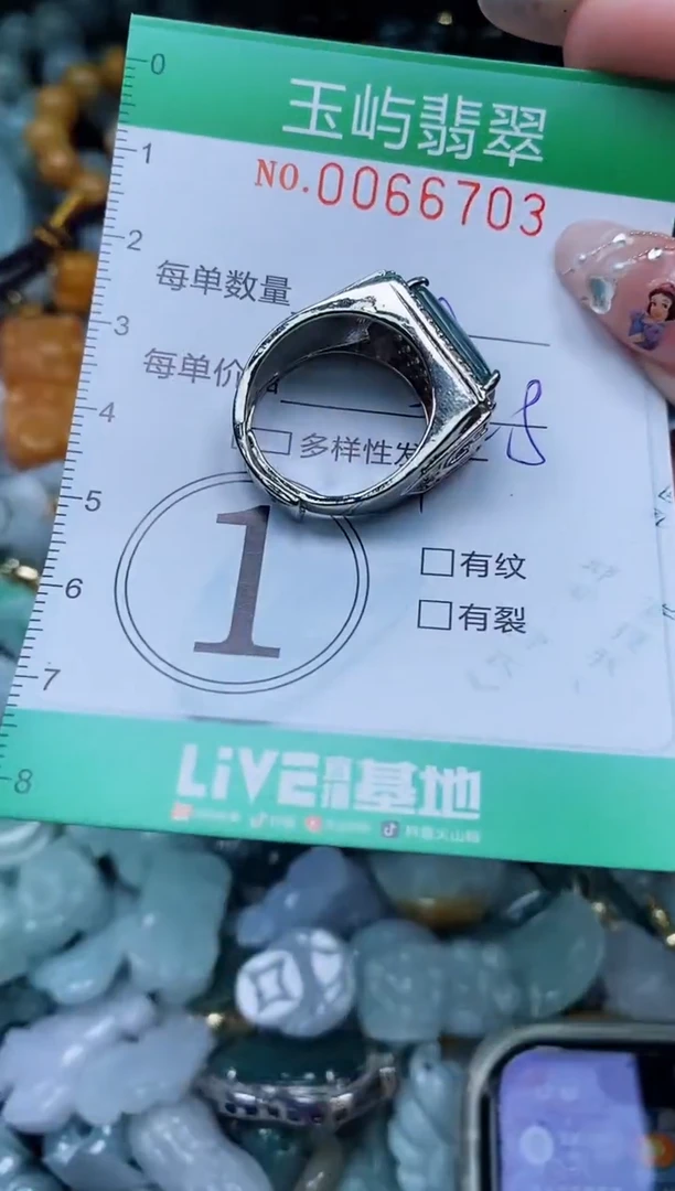 【闪购商品】翡翠颈饰未镶嵌闪购0066703