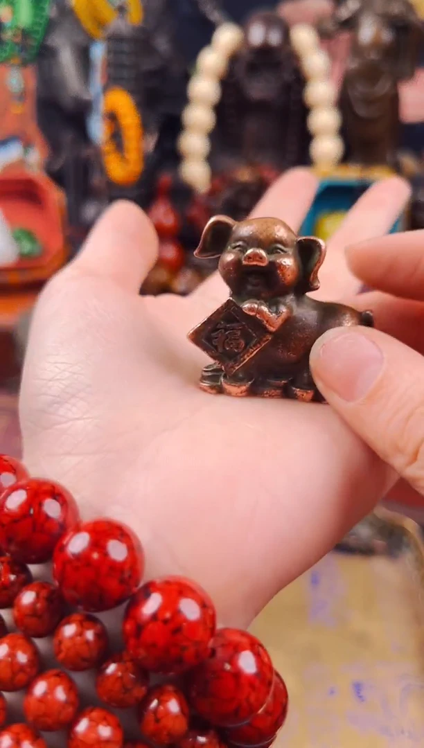 【闪购商品】飞飞直播推荐精品5