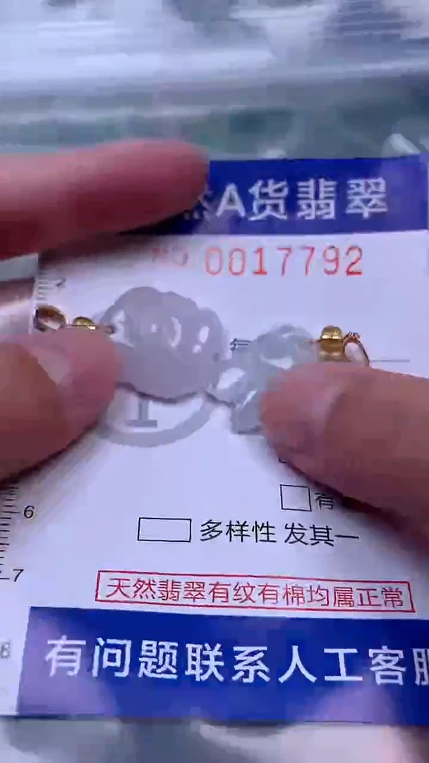 吊坠(赠链)未镶嵌翡翠1
