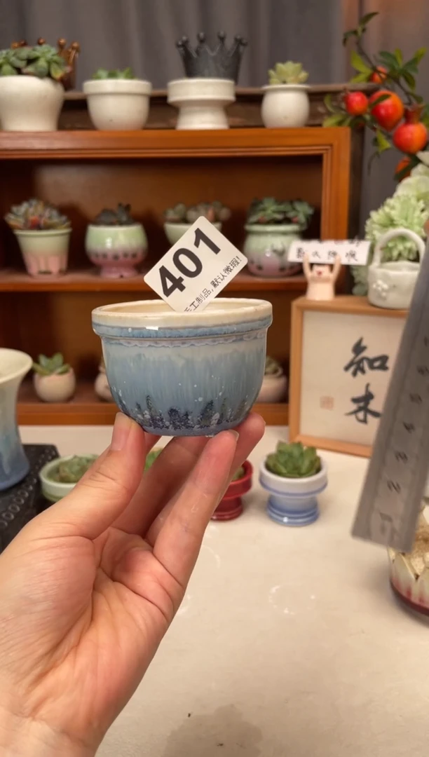 瓷片401知木小芳花盆直播编号