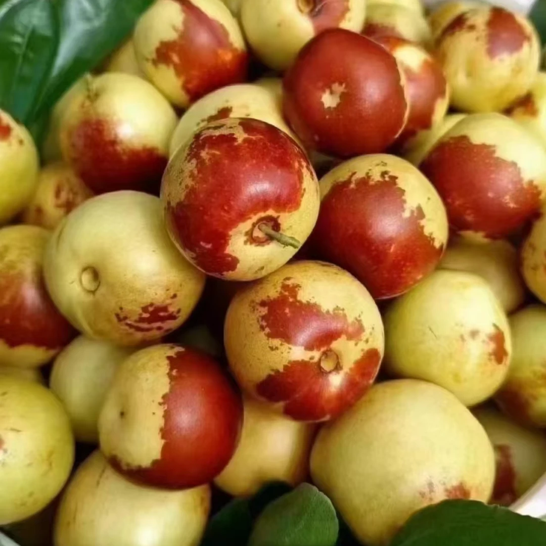 顺丰 沾化短枝二代冬枣嘎嘣脆甜净2.2-4.4斤左右（仅南京）