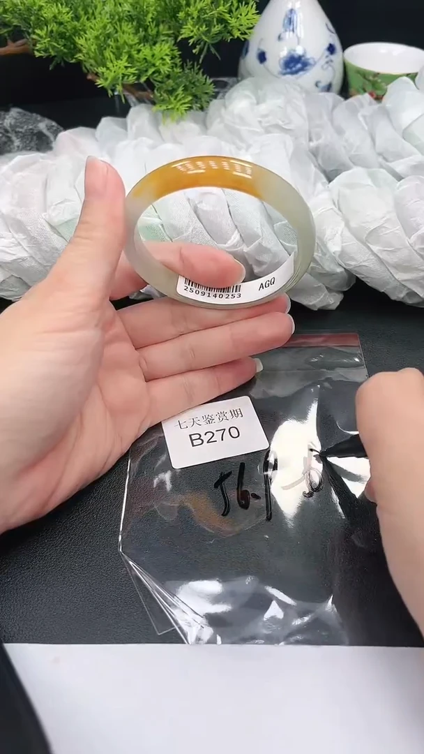 未镶嵌手镯翡翠270