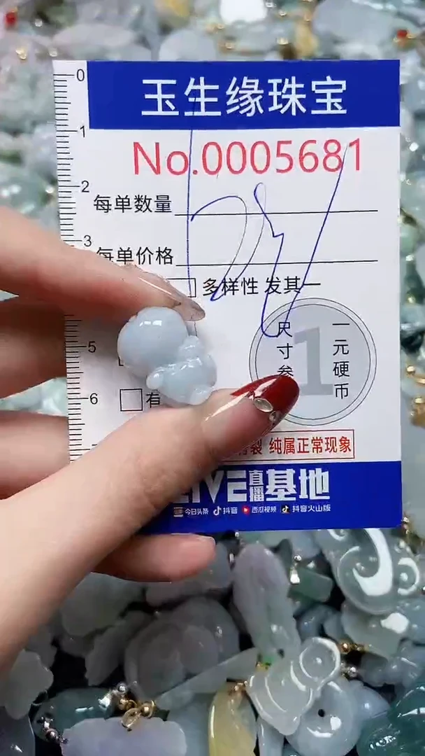 【闪购商品】翡翠颈饰未镶嵌闪购00005681