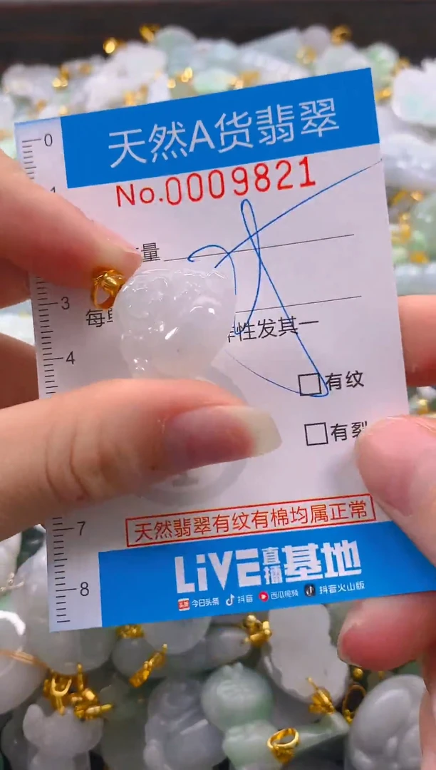 颈饰未镶嵌翡翠净货挂件-9821