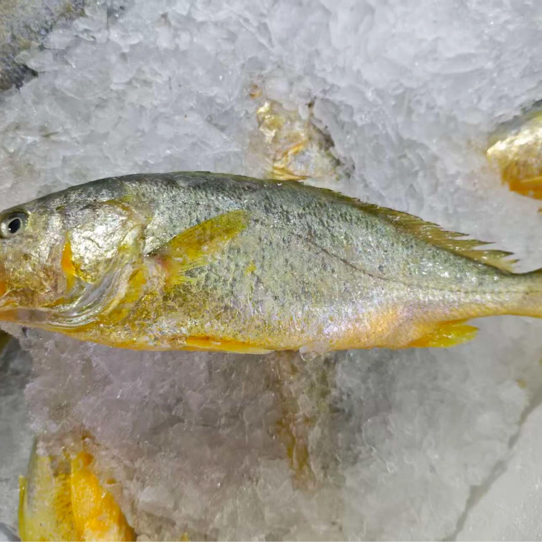 【水不同】冰鲜小黄鱼/公斤