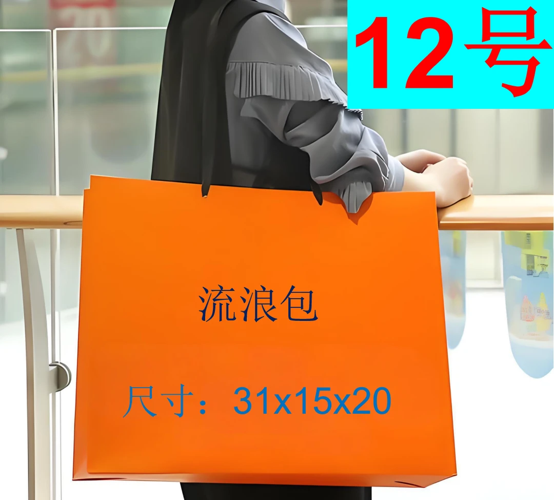 12号时尚轻奢百搭通勤流浪包CV975#