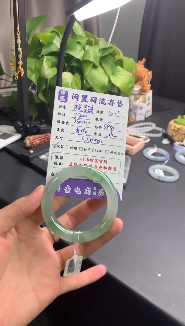 未镶嵌手镯翡翠育**育分单1