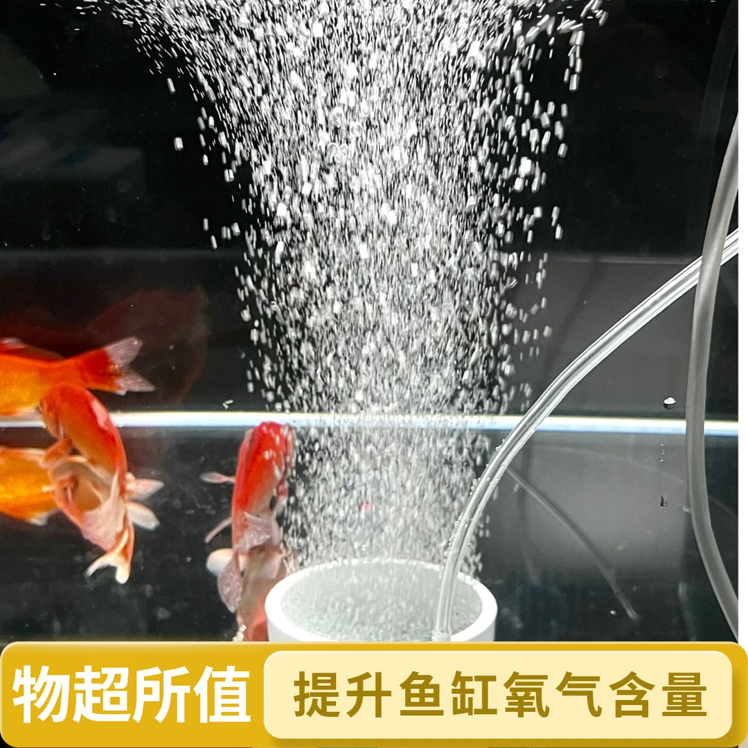 【配件】纳米气盘鱼缸氧气泵大气泡石雾化爆氧气盘细化细腻鱼缸增氧