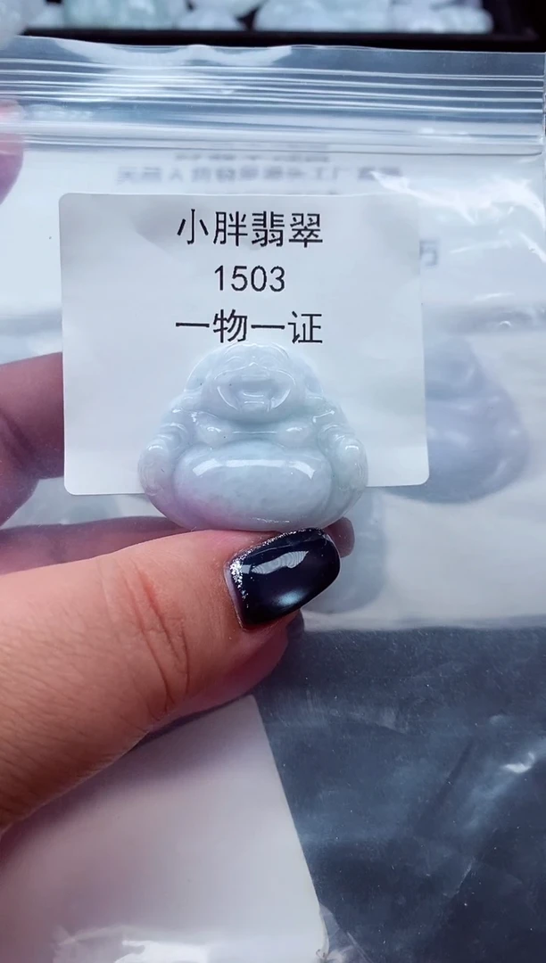 颈饰未镶嵌翡翠缅甸天然A货翡翠1503