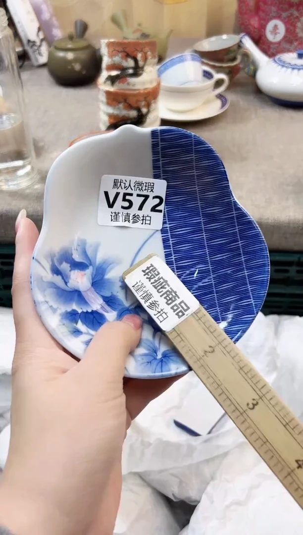 瓷片春***～ 572