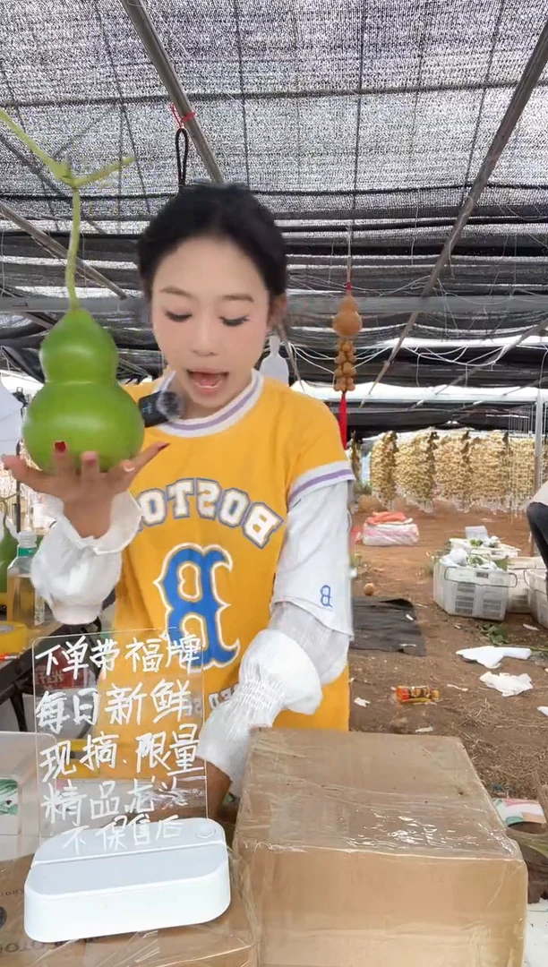 288天然葫芦摆件 一物一拍龙头不保售后