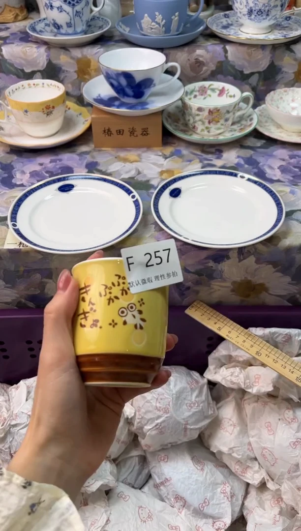 瓷片样*瓷片瓷片      F  257