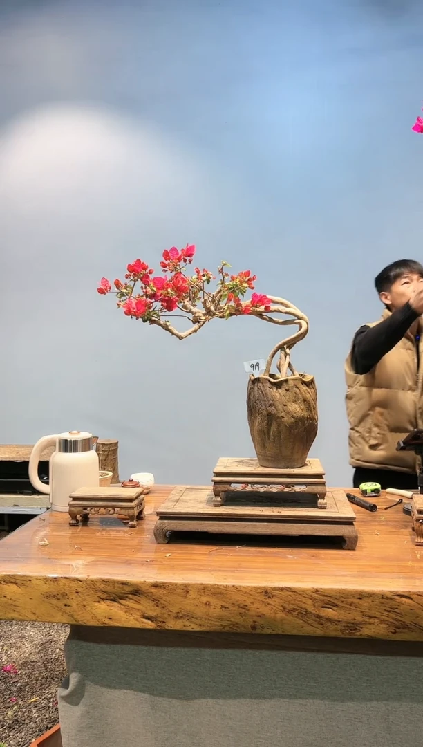 【闪购商品】aa919