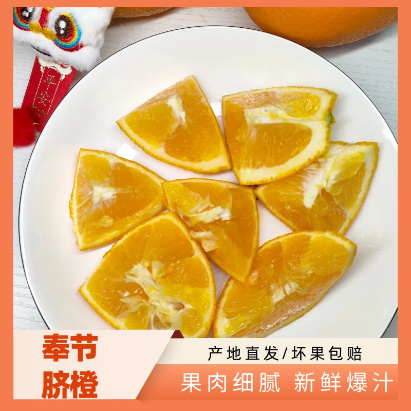 （普快）正宗奉节脐橙小分类福本园虹（家庭箱装）