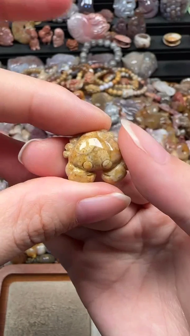 颈饰未镶嵌硅化珊瑚（珊瑚玉）469