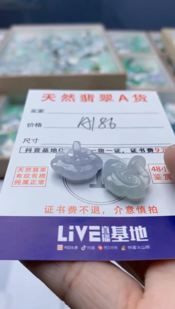 颈饰未镶嵌翡翠多样发其一
