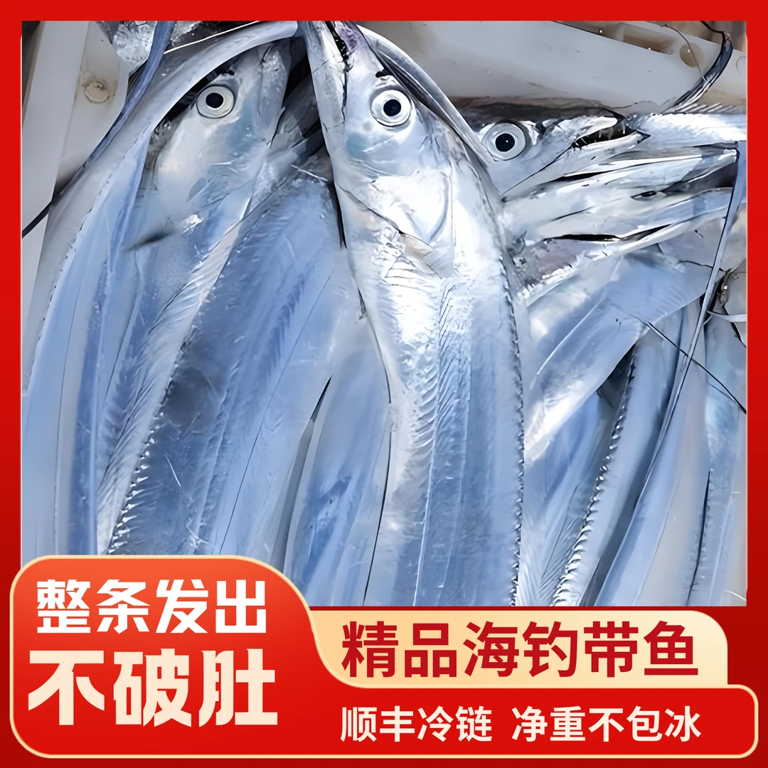 1大号带鱼深海钓带鱼 整条发出 顺丰冷链 7两左右/条
