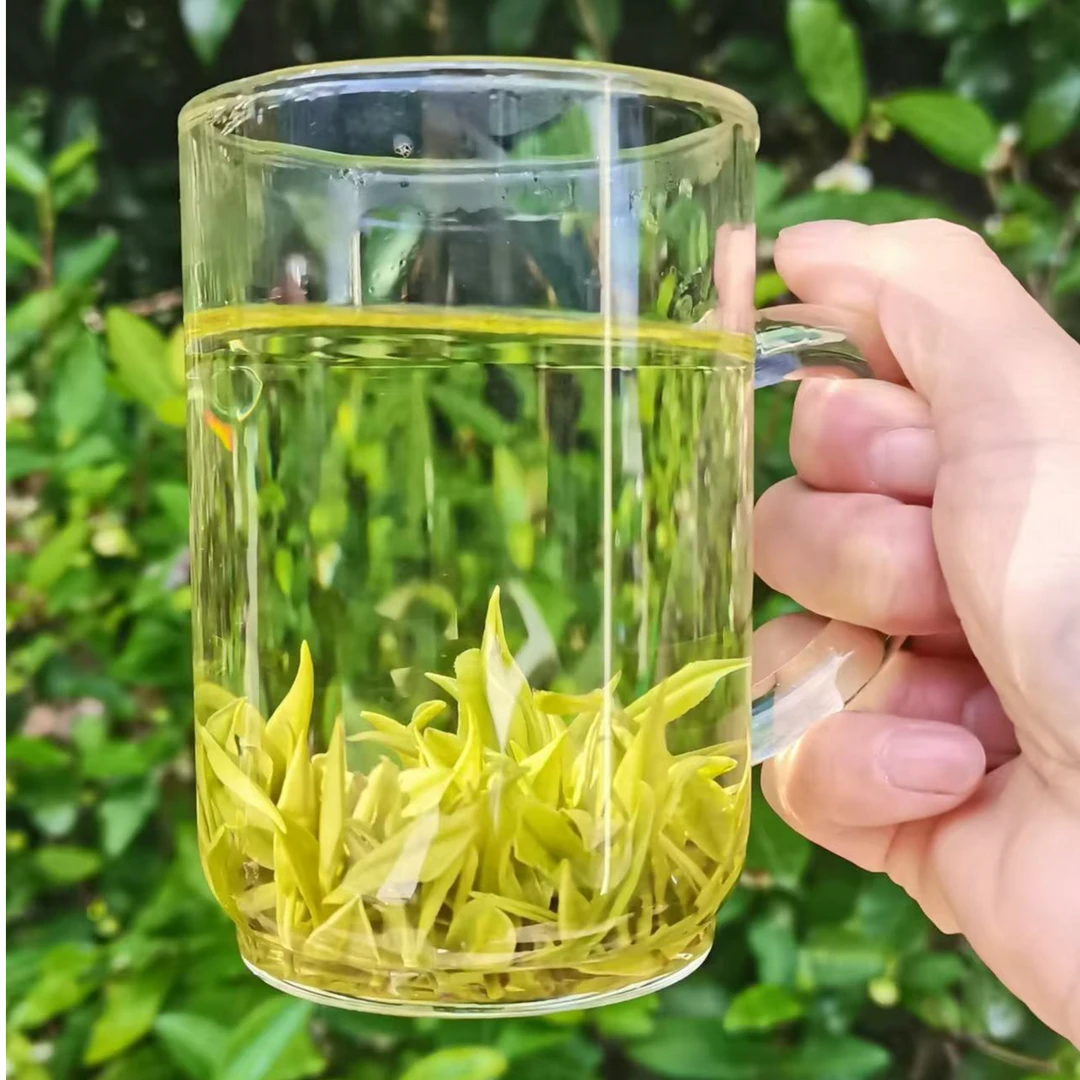 A18（国色天香）2025年新茶 安吉原产地核心产区昆铜 高山茶明前