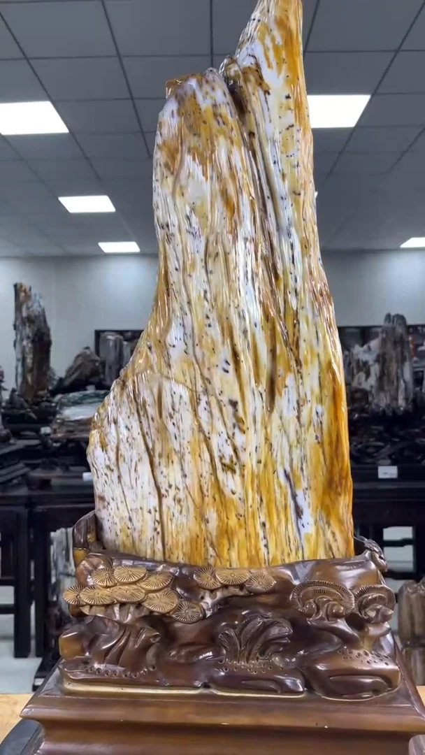 【闪购商品】硅化玉珠宝奇石未镶嵌1