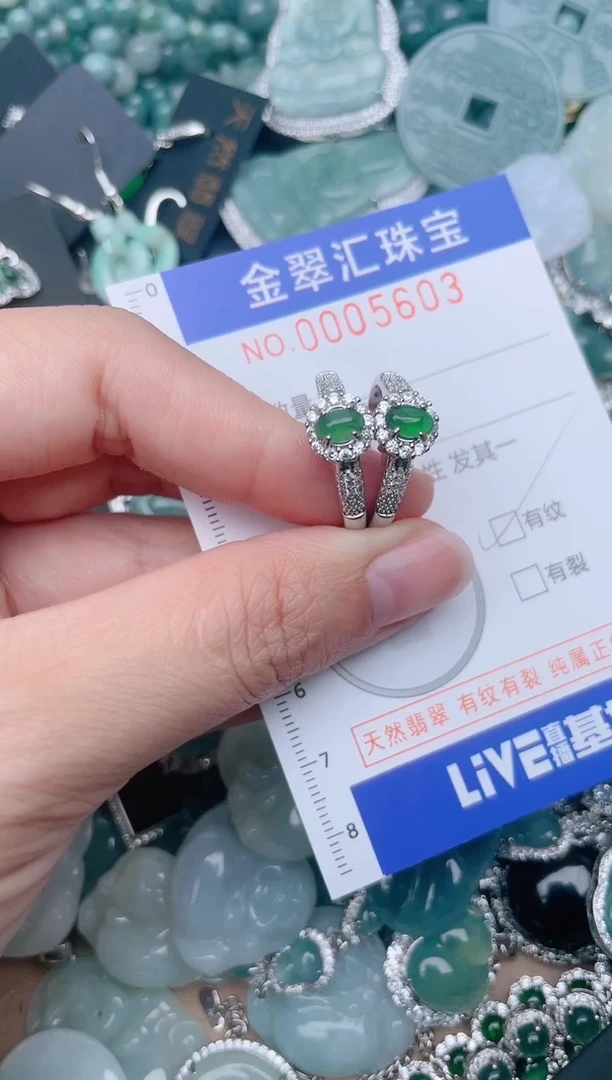 翡翠未镶嵌颈饰5603.......1