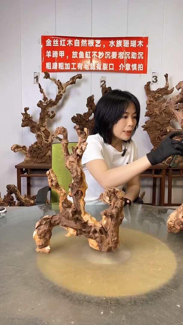 香榧木乡*人金丝红木   羊蹄甲