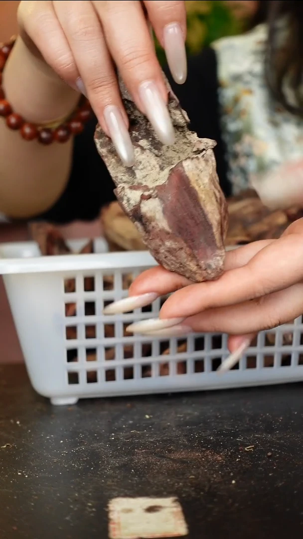 木本降真香海南红降随形原料倒架料子61g