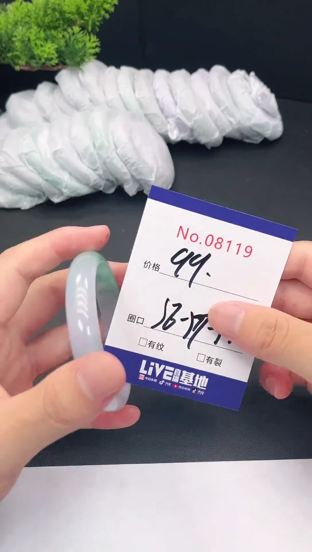 未镶嵌手镯翡翠8119